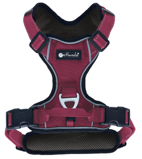 Outdoor Harness XS berry