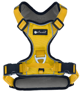 Outdoor Harness S gelb