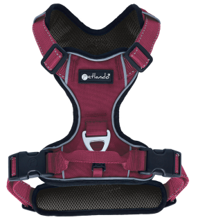 Outdoor Harness XL berry Outdoor Harness XL berry