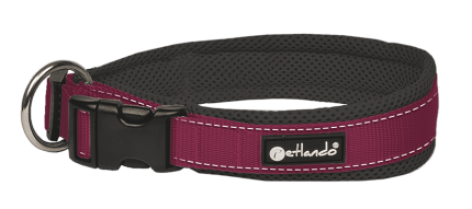 Outdoor Collar L berry