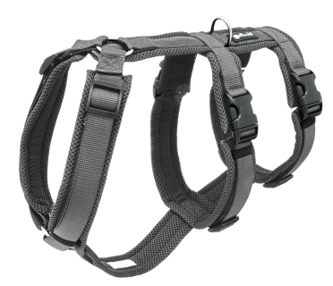 Safetyharness L anthracite