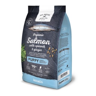 Go Native Puppy Salmon with Spinach and Ginger 4kg