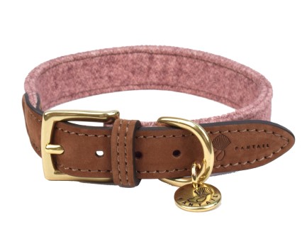 Halsband hond Blend roze 30cmx20mm XXS