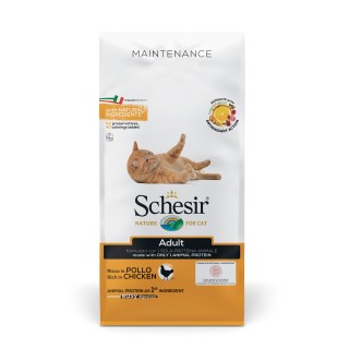 Schesir Cat Dry - ADULT CHICKEN 10kg Schesir Cat Dry - ADULT CHICKEN 10kg