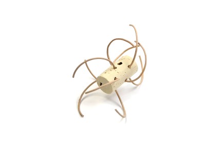 Kurk Spinnetje Kurk Spinnetje